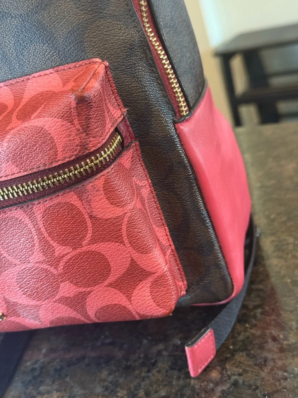 Coach Brown and Pink Signature Backpack